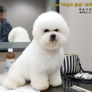 제이내일도맑음
