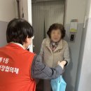 다솜미트