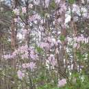 먹방농장 이미지