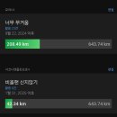 러닝 10개월째 러너의 러닝화 후기