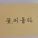 꽃피올라 이미지