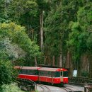 이태원 PC&COOK 이미지