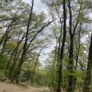 육각정 화장실 이미지