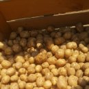 기정농장 이미지