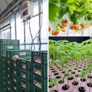 김상은농장 이미지