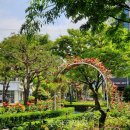 장미의거리5 이미지