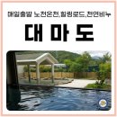 현내카 | 2025년 대마도 1월~2월 특전! 부산항출발 니나호 노천온천 시내숙박