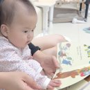 아기 그림책 6개월 유아교구 다중지능 전집 추천 핀덴베베 개정판