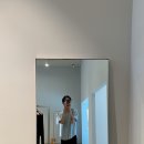 모노하
