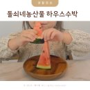 하우스수박 돌쇠네 농산물 아기간식 수박 후기
