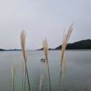 한장미아파트 이미지