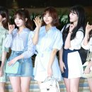 백지헌 카카오 검색결과