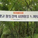금강변 민물어죽마을 이미지