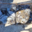 라암도해상공원 이미지