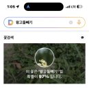 늠내길6코스 시흥종주길 이미지