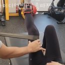 아이디얼핏 이미지