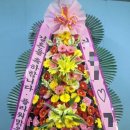 하이비스PC 이미지