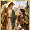 The Biblical Story of Raphael andTobias Through the Lens of JSKR Training 이미지