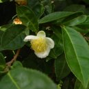 동산 라인 101동 이미지