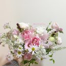 플레타플레르 이미지