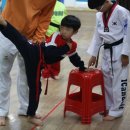 용인대KAT태권도 이미지