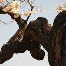 김해건설공업고등학교 이미지