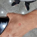 단대동 행정복지센터 2층 별관 이미지