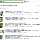 (주)아쿠아릭스 | [디저트카페 창업아이템] 모리한 그린티 소개