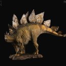 스테고사우루스-1 이미지