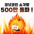 코넛