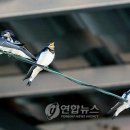 세일주유소 이미지