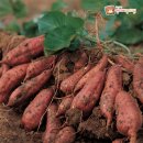 도원아이한의원 이미지