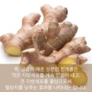 홍기네농장 | 감, 단감 효능 6가지 및 부작용 알아보아요♥ / 잠깐요! 숙지 할 사항