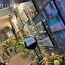 발리무인텔 이미지