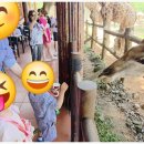 수도카서비스 이미지