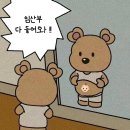 동해ENG - 동해시 전천로 259 | [임신 기록] 초보 임산부는 제발 이것만 보세요 ! 임산부 혜택 총 정리