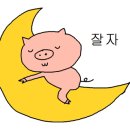 춘천원조숯불닭갈비 이미지