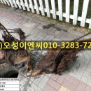 나무이엔씨 이미지