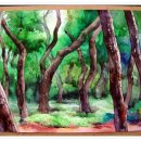 소나무숲 이미지