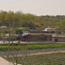 주생면 유매마을 이미지