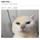 김치찌개&삼겹살