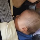 신화유치원 | 4개월 아기와 함께 떠나는 가을 제주도여행 1일차(비행기,유모차카시트대여,제주신화월드)