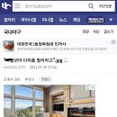 미성년자 국대선수 성희롱하는 국내야구갤러리 이미지