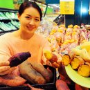 고구마PC 이미지