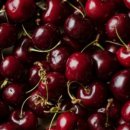 한국폴리텍 V 대학 전남캠퍼스 이미지