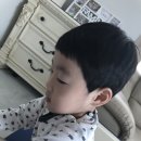 (주)웰치즈 이미지