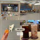 송내힐링센타 | 부천 송내역 애견카페 쾌적한 실내공간으로 재방문하고 싶어지는 멍쉘