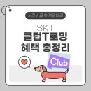 SKT 클럽T로밍 0청년 요금, 혜택 이용후기