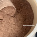 540 | 내돈내산 - 딜라이트 프로젝트 단백질 쉐이크 벌크/통 (너티초코, 540g) 후기