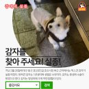 효신시장 이미지